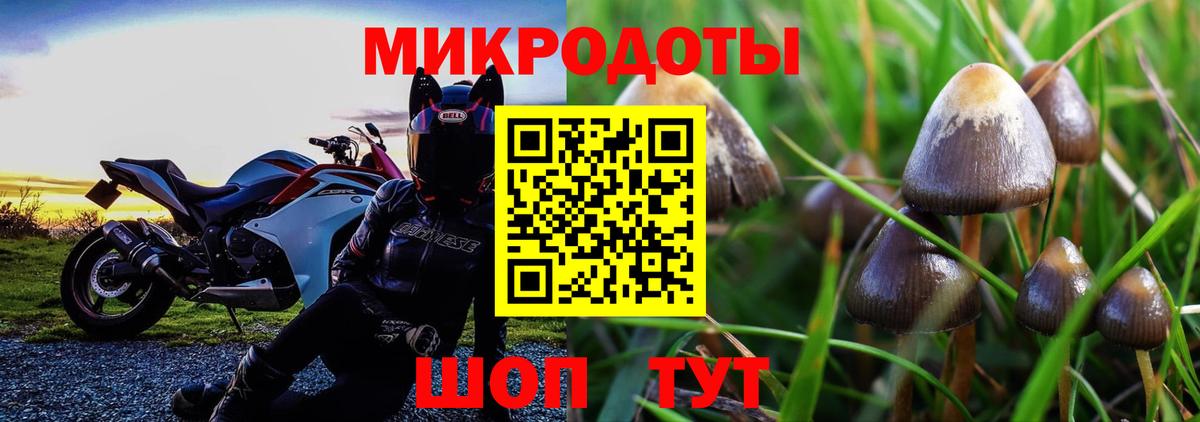 Кизляр  наркотики  Вход с VPN  Псилоцибиновые грибы GOLDEN TEACHER 